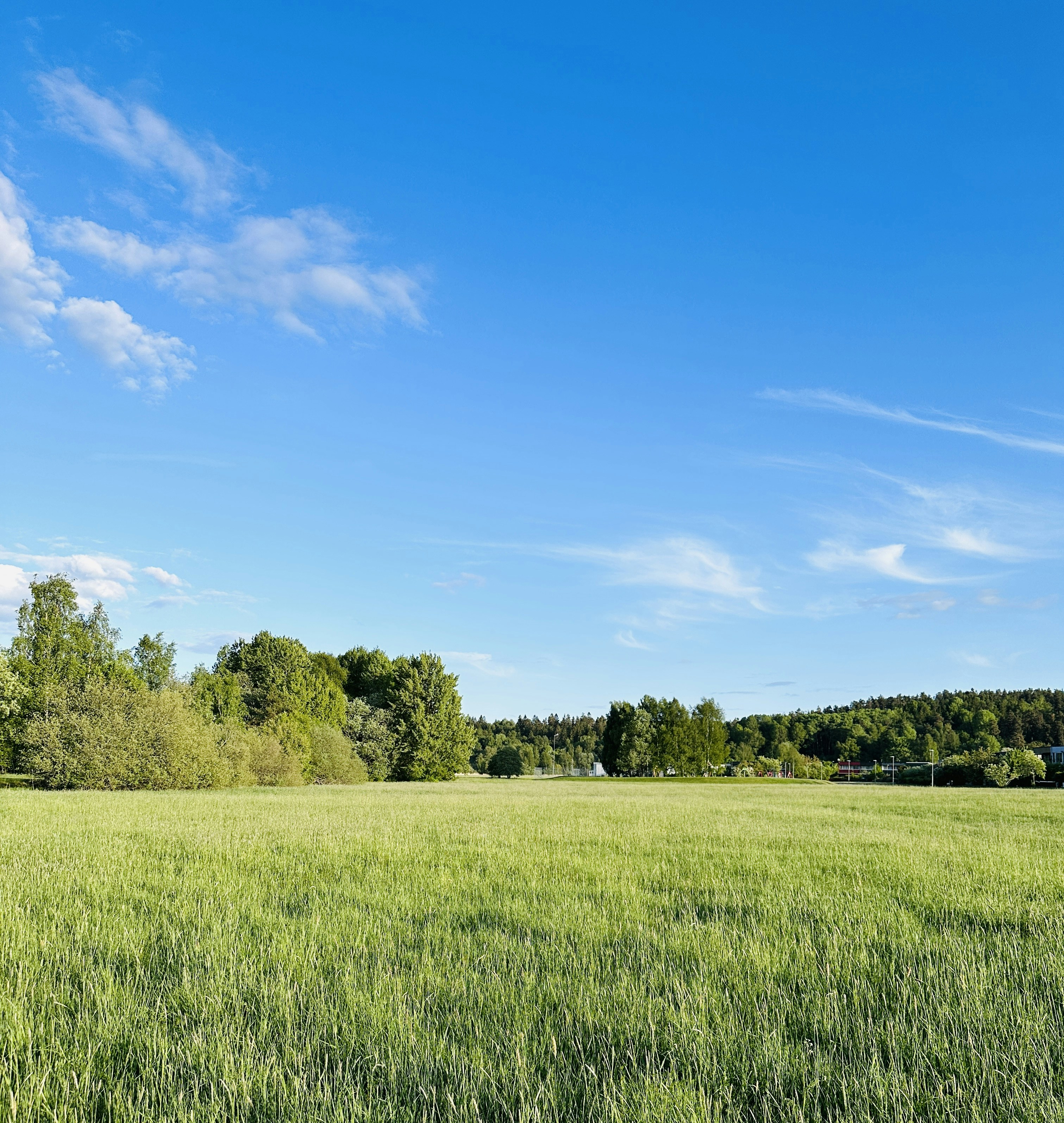 Photo by wahid_sadiq