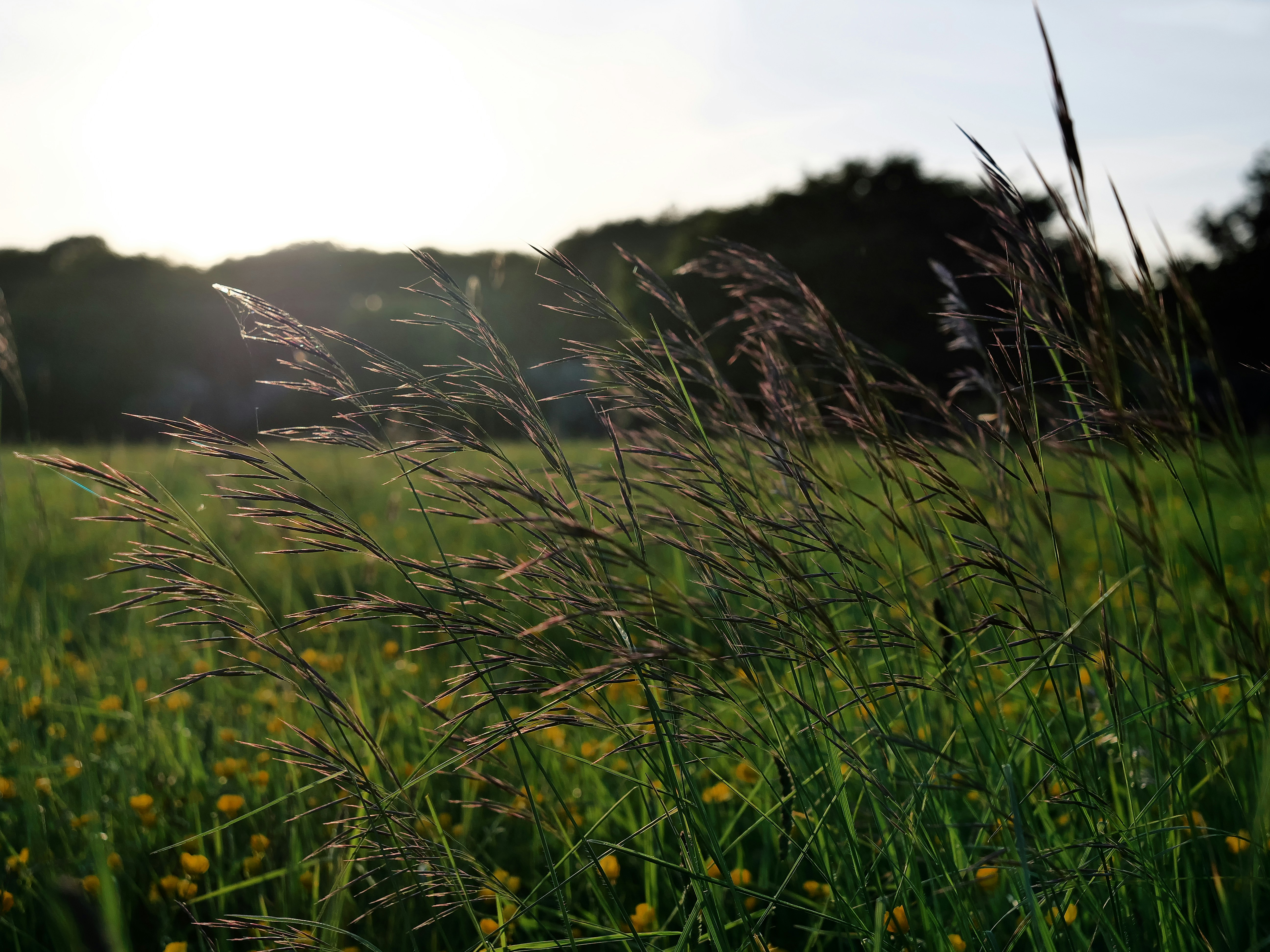 Photo by balmy_sunset