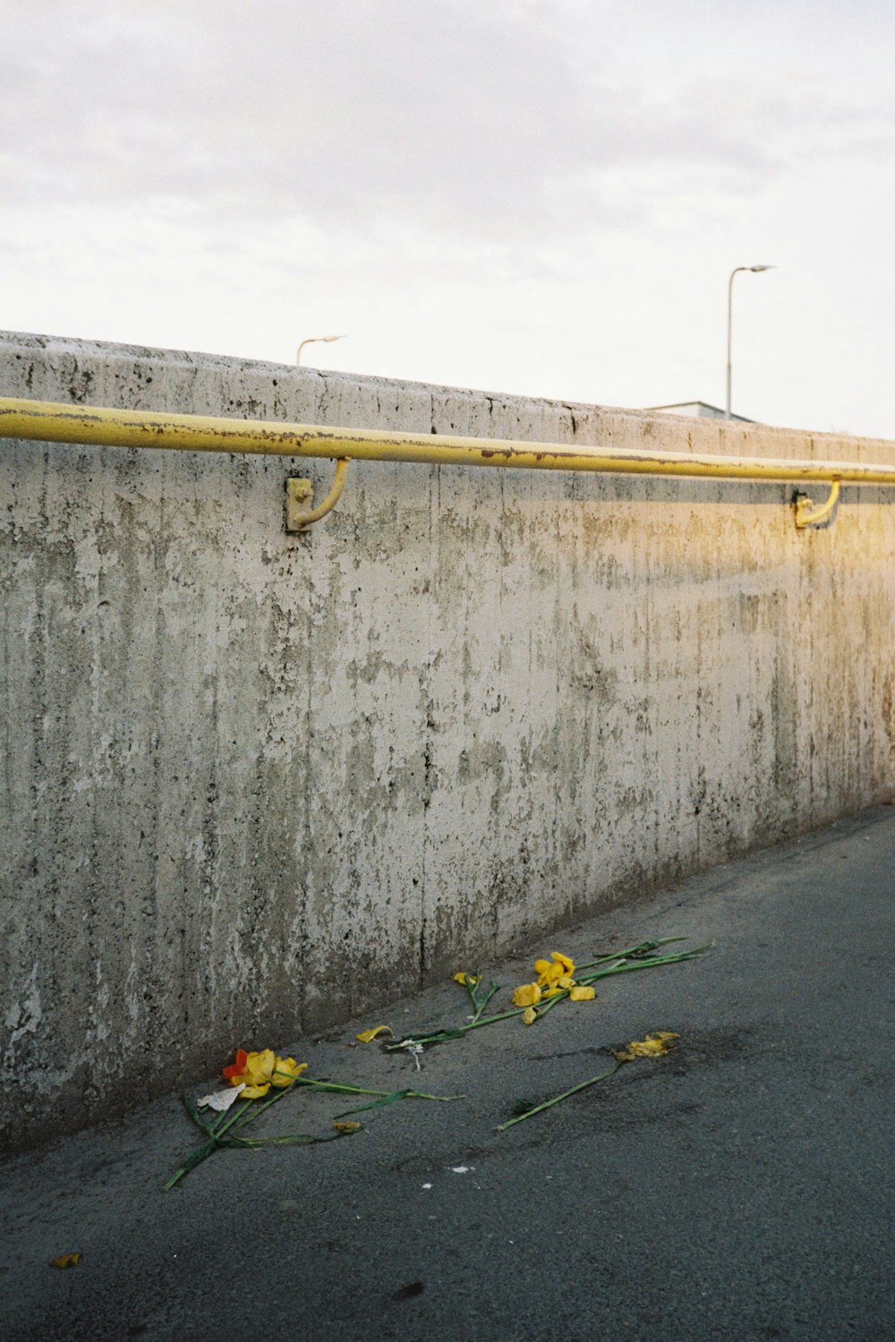 a bunch of flowers sitting on the side of a road