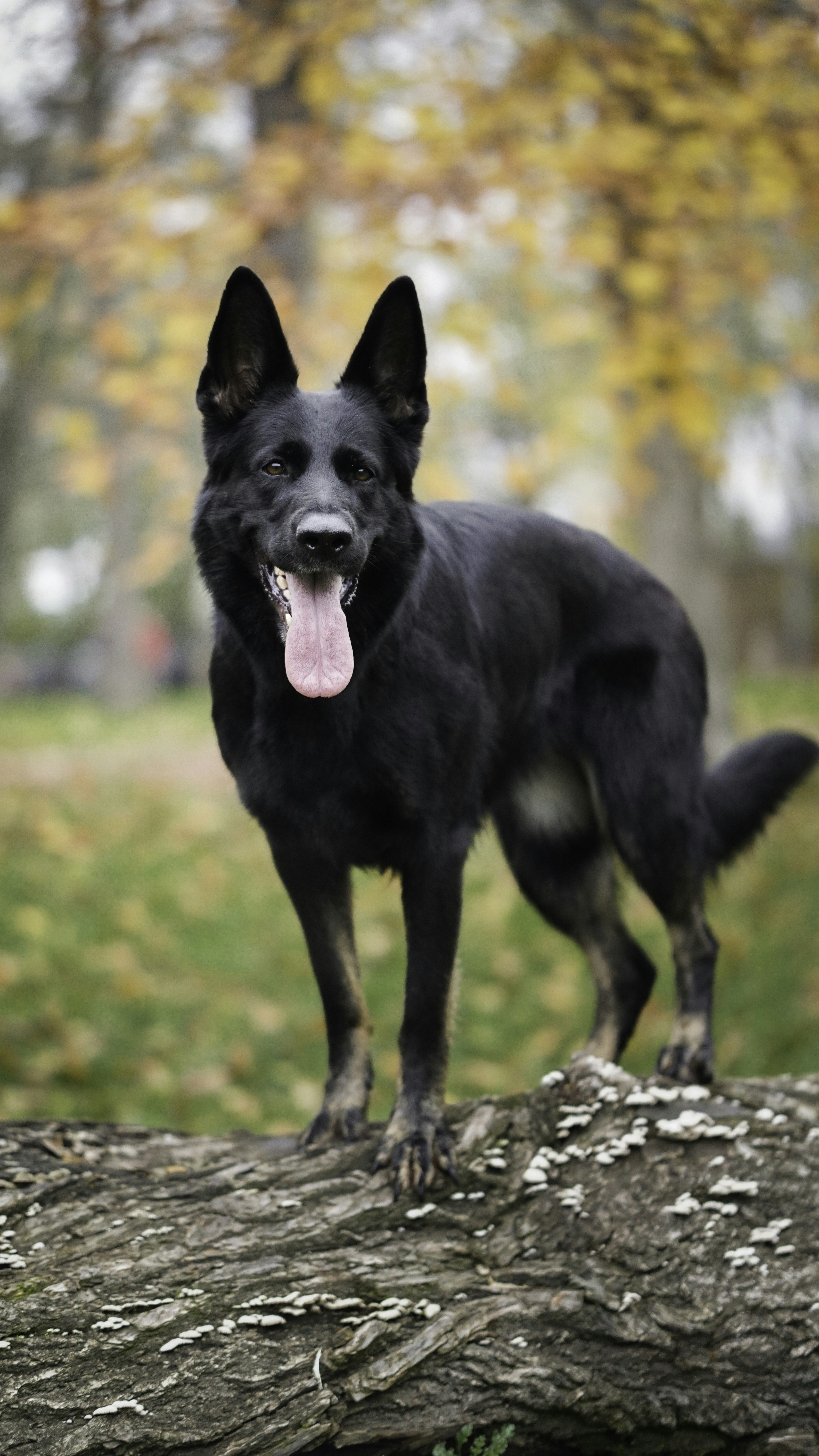 Photo by annadudkova