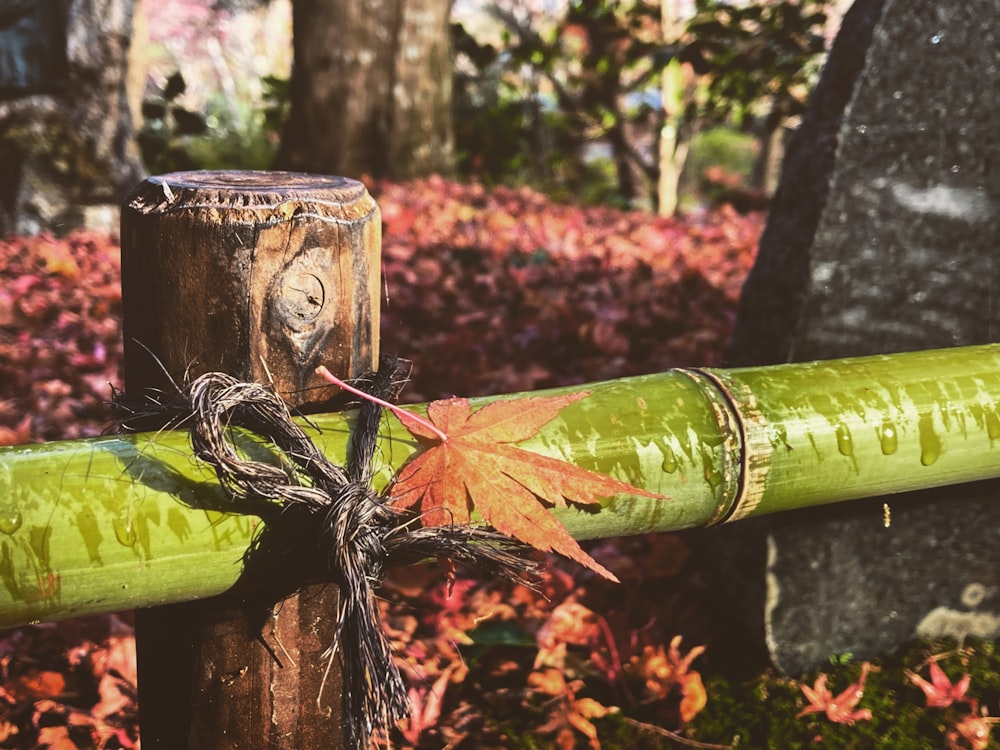 a wooden pole with a leaf tied to it