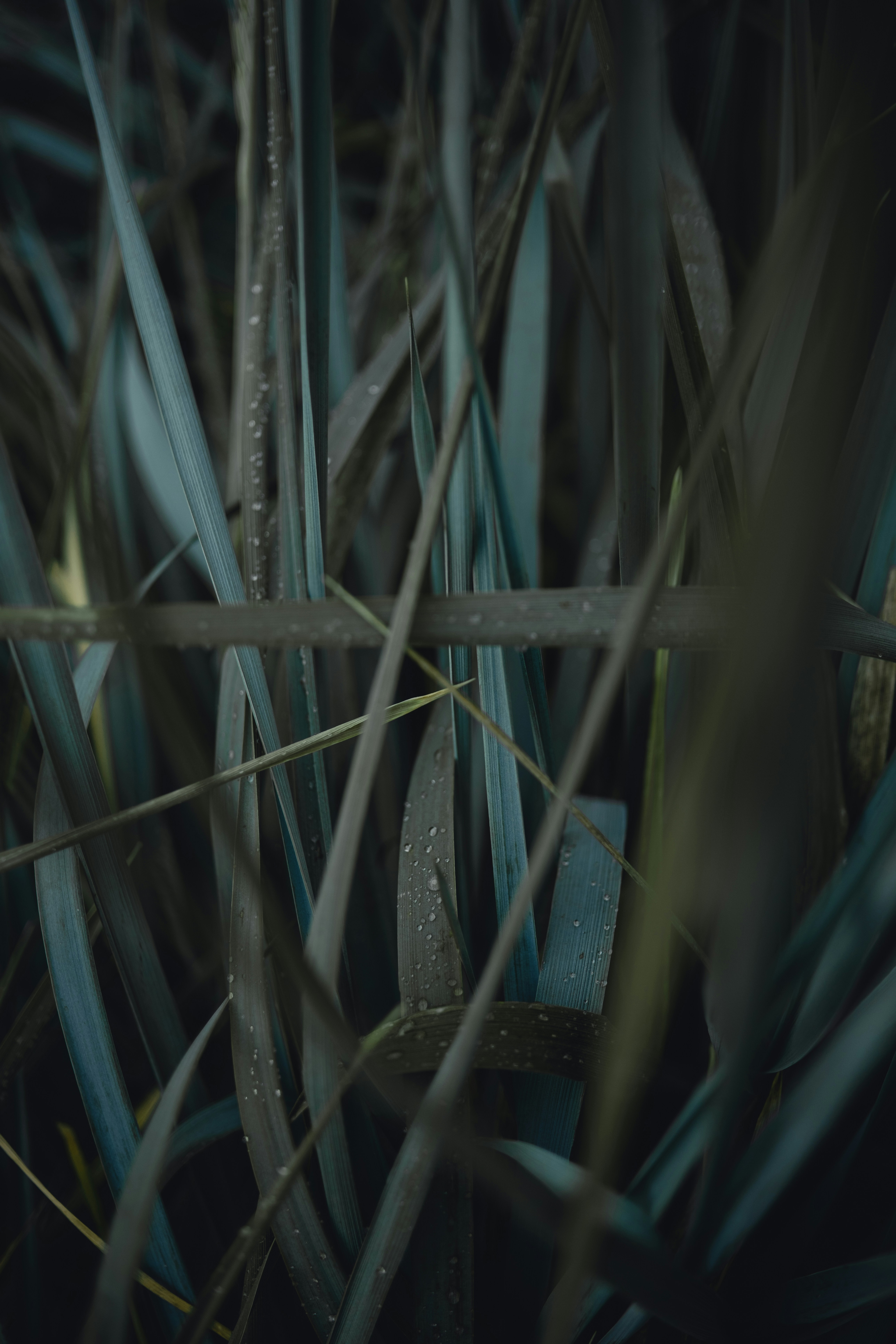 Photo by nikolamarkelov