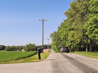 A rural road lined with tall power lines stretches into the distance. On the right side, a lush row of green trees provides shade. A car travels down the road towards the horizon. A mailbox stands by the roadside on the left, adjacent to fields of grass.