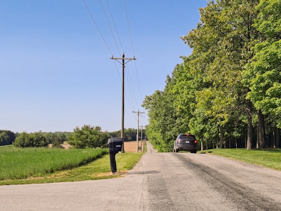 A rural road lined with tall power lines stretches into the distance. On the right side, a lush row of green trees provides shade. A car travels down the road towards the horizon. A mailbox stands by the roadside on the left, adjacent to fields of grass.