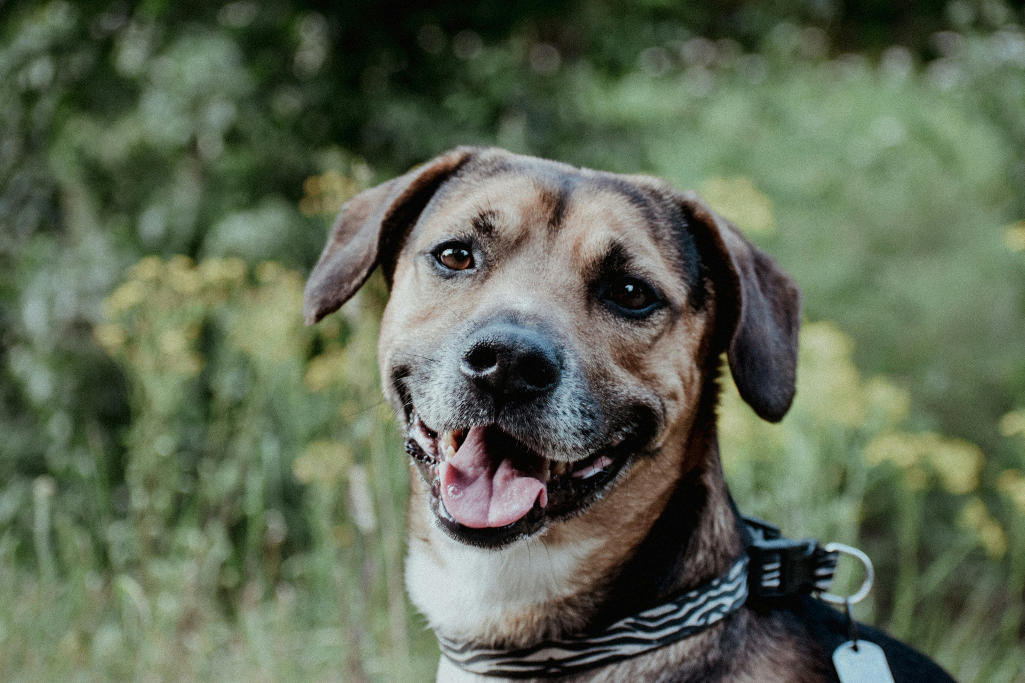 Photo by colorful_jelly