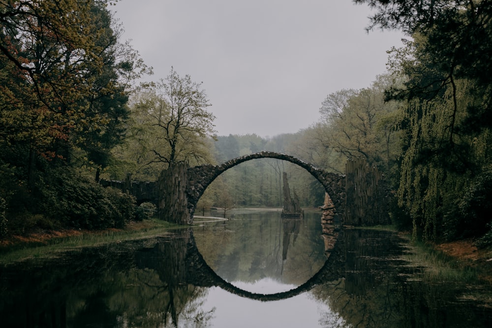 Un puente de piedra sobre un cuerpo de agua rodeado de árboles