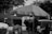 A black and white photo capturing a street scene with a large umbrella shading a vendor's cart. The cart is filled with various items, including a bag that seems to be used for carrying goods. A person stands nearby with their back to the camera, wearing a light-colored shirt and slightly obscured by a bicycle. The backdrop includes vehicles and a building, with tree branches overhanging the scene, casting shadows.