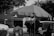 A black and white photo capturing a street scene with a large umbrella shading a vendor's cart. The cart is filled with various items, including a bag that seems to be used for carrying goods. A person stands nearby with their back to the camera, wearing a light-colored shirt and slightly obscured by a bicycle. The backdrop includes vehicles and a building, with tree branches overhanging the scene, casting shadows.