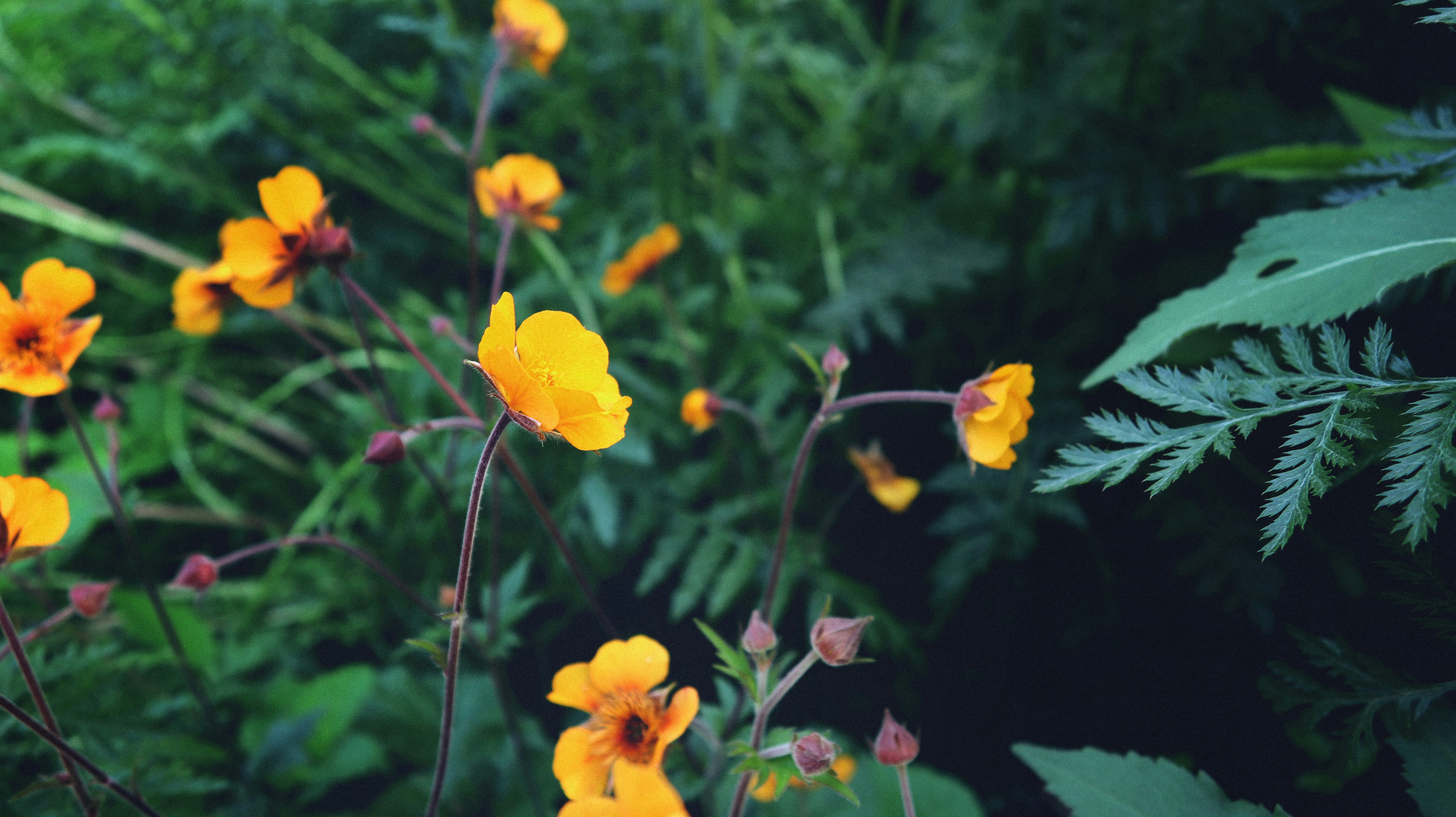 Photo by tolikrurac82
