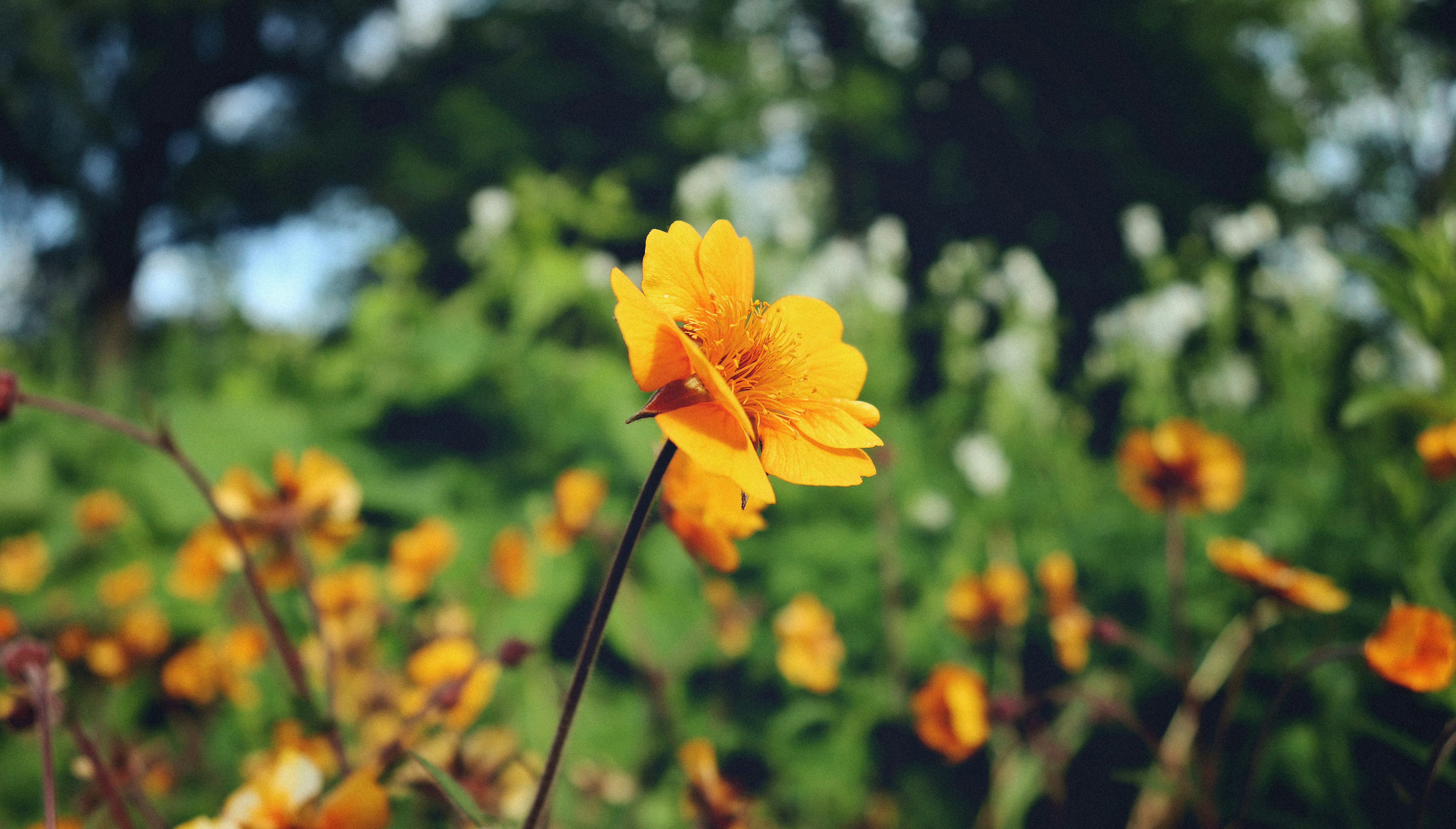 Photo by tolikrurac82