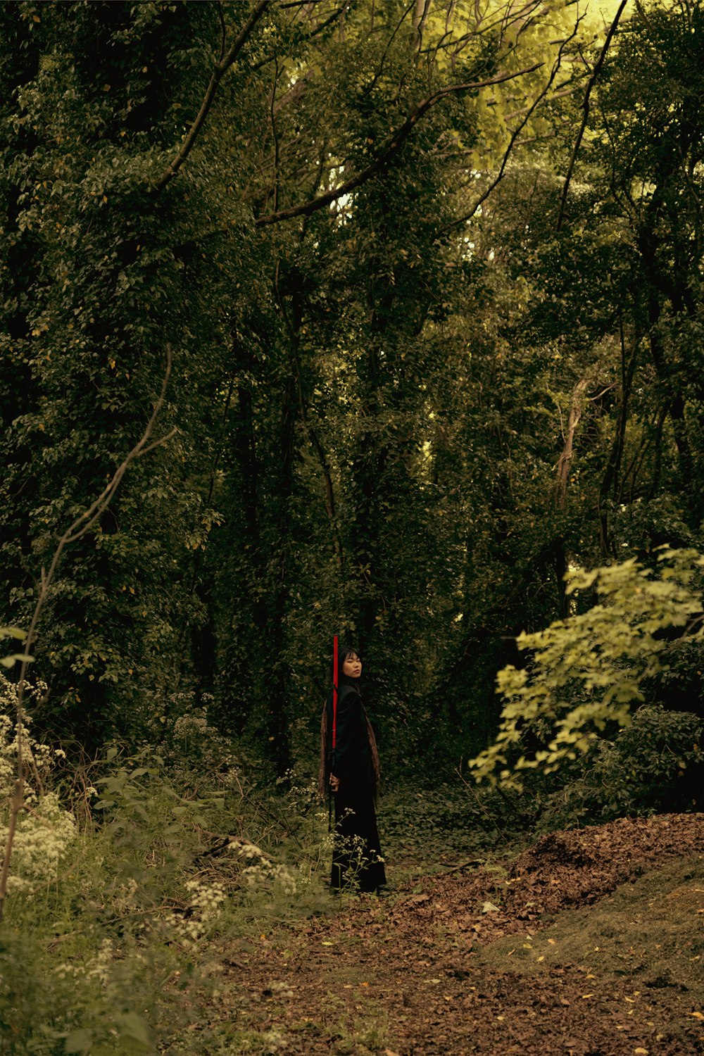 a person standing in the middle of a forest