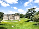 A large, stately mansion with classical architecture is situated in the middle of a well-manicured green lawn with yellow flowers. The sky is bright blue with scattered white clouds. In the foreground, two people are sitting on the grass, enjoying the serene landscape. A massive tree with lush foliage is positioned to the right, adding to the idyllic setting. Surrounding the estate, there are more trees, indicating a lush, expansive garden or park.
