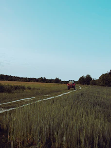 Tractor mowing a wide open field surrounded by trees on a sunny day.