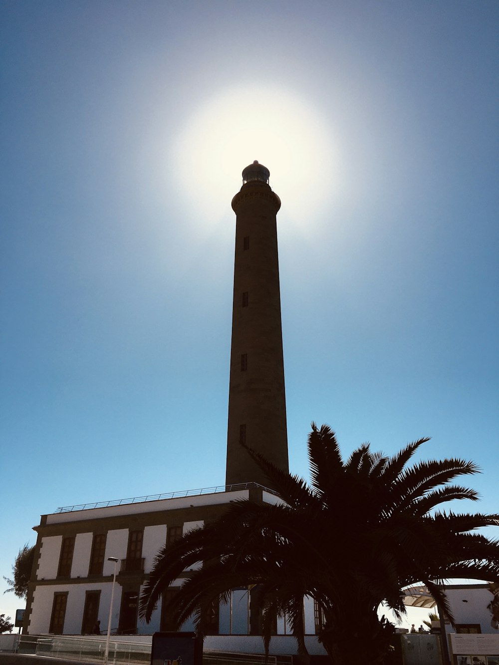 a palm tree in front of a light house