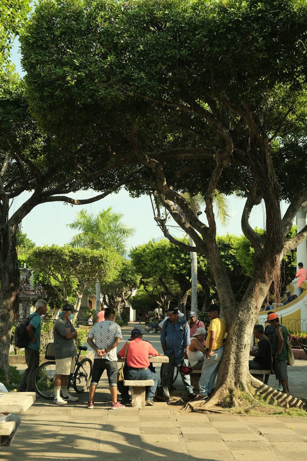 a group of people sitting on a bench under a tree