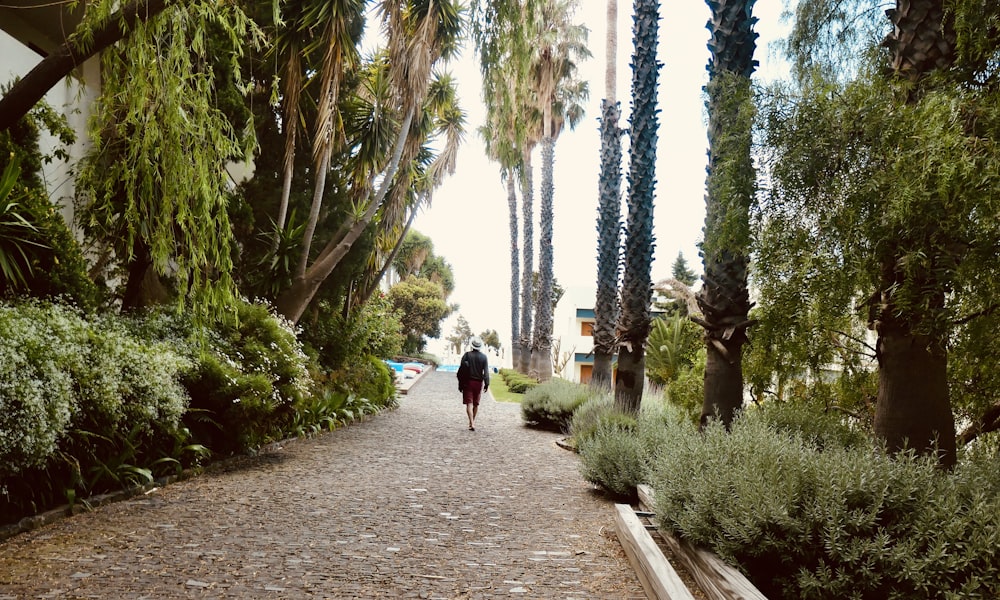 a person walking down a path in a park