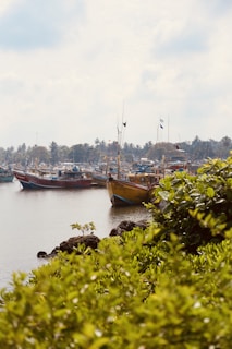 a group of boats floating on top of a lake