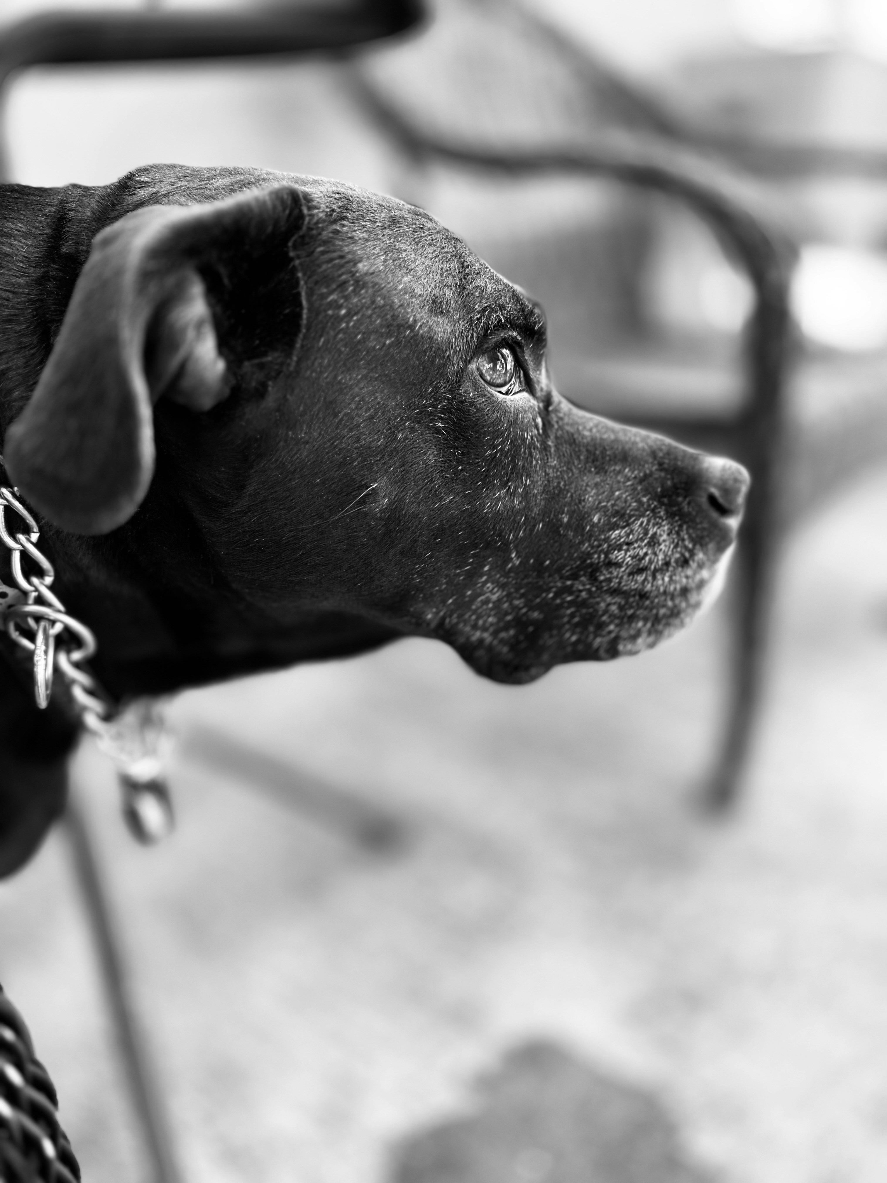 Photo by burnedkitty