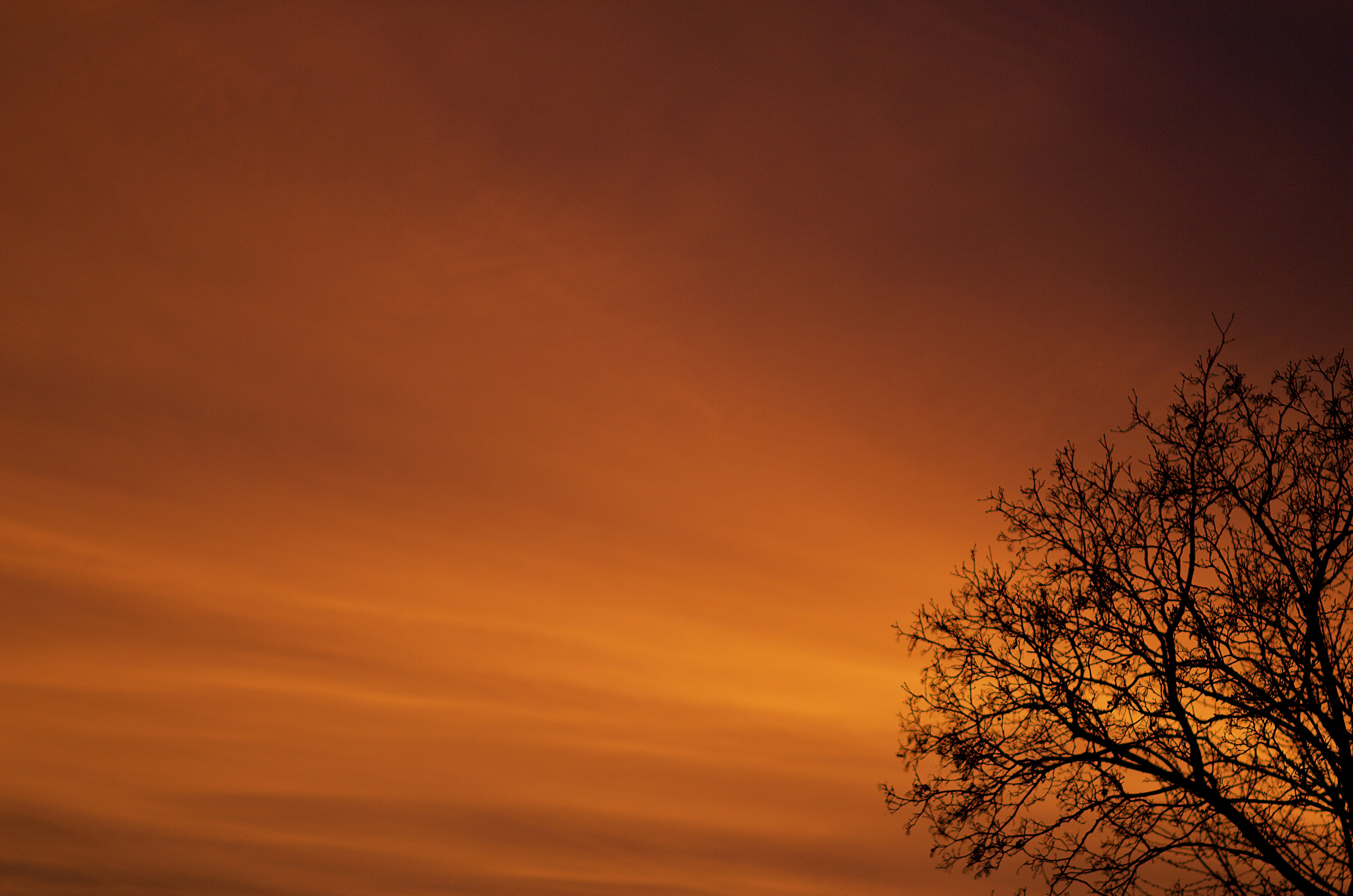 Photo by mihaly_koles