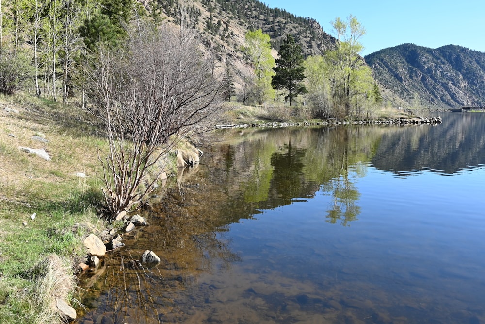 a body of water surrounded by mountains and trees