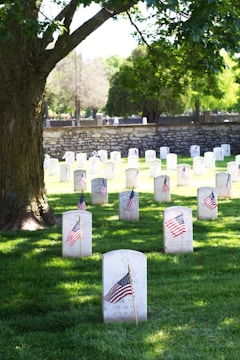 An array of white headstones in a lush, green cemetery with small American flags placed at each grave, casting shadows under a large tree. A stone wall can be seen in the background with more graves.