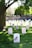 An array of white headstones in a lush, green cemetery with small American flags placed at each grave, casting shadows under a large tree. A stone wall can be seen in the background with more graves.