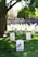 An array of white headstones in a lush, green cemetery with small American flags placed at each grave, casting shadows under a large tree. A stone wall can be seen in the background with more graves.