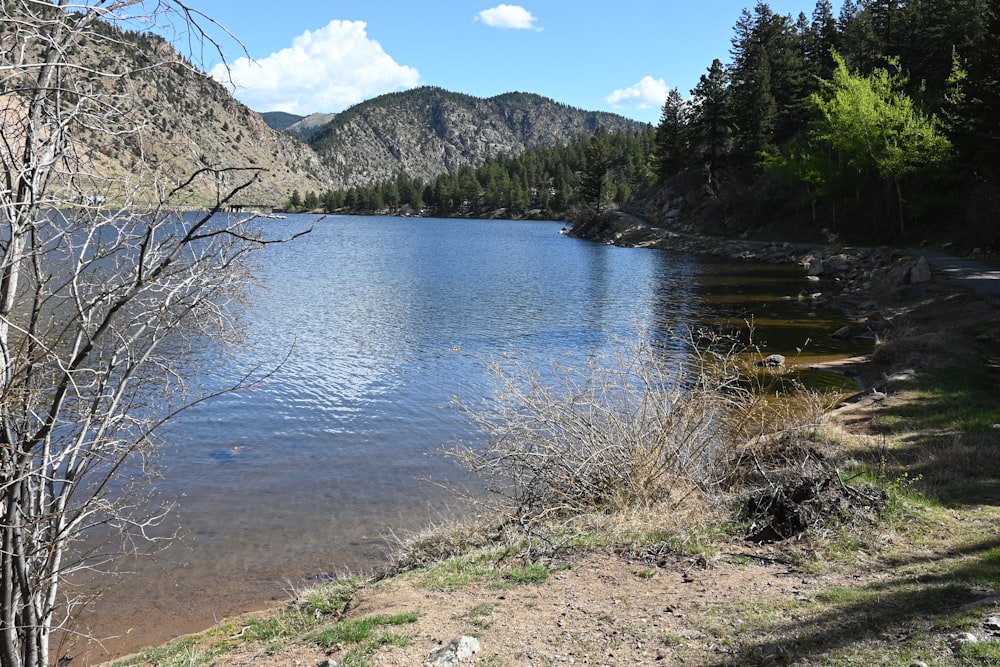 a body of water surrounded by trees and mountains