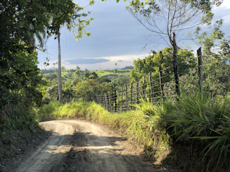 A dirt road winding through open lots bordered by tropical vegetation in Acacías.