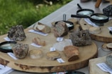 A collection of various rock and mineral specimens displayed on wooden slabs. Each specimen is labeled with its name, such as 'Fluorite' and 'Calcite.' Several magnifying glasses are placed near the specimens, suggesting a focus on examination and study. The backdrop includes a grassy area, adding a natural setting to the exhibit.