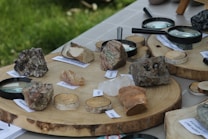 A collection of various rock and mineral specimens displayed on wooden slabs. Each specimen is labeled with its name, such as 'Fluorite' and 'Calcite.' Several magnifying glasses are placed near the specimens, suggesting a focus on examination and study. The backdrop includes a grassy area, adding a natural setting to the exhibit.