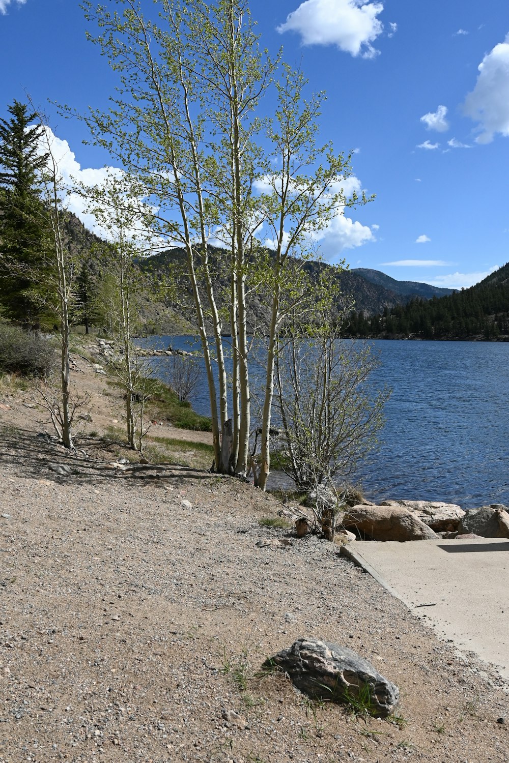 a bench sitting on the shore of a lake