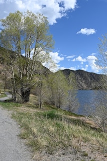 A scenic view of a running trail surrounded by nature.