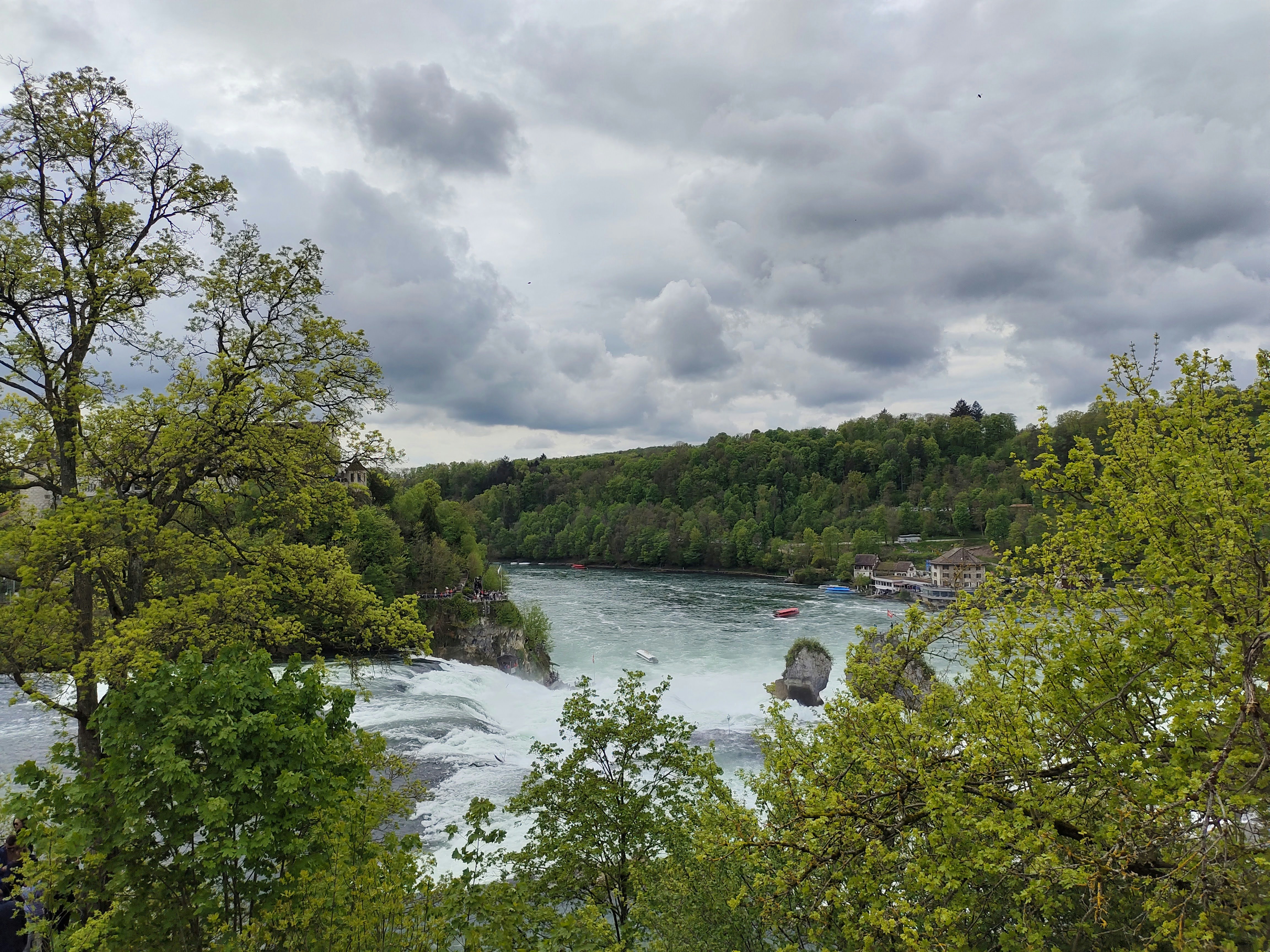 a view of a river with rapids and trees