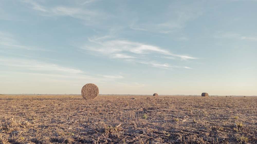 a field with hay bales in the middle of it