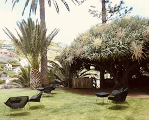 Guests relaxing on comfortable wicker chairs surrounded by lush greenery at sunset.