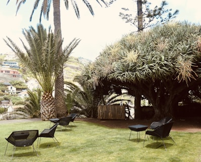 A serene outdoor setting with sisal products accentuating nature.