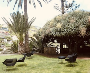 A serene outdoor setting where a legal advisor consults with clients.