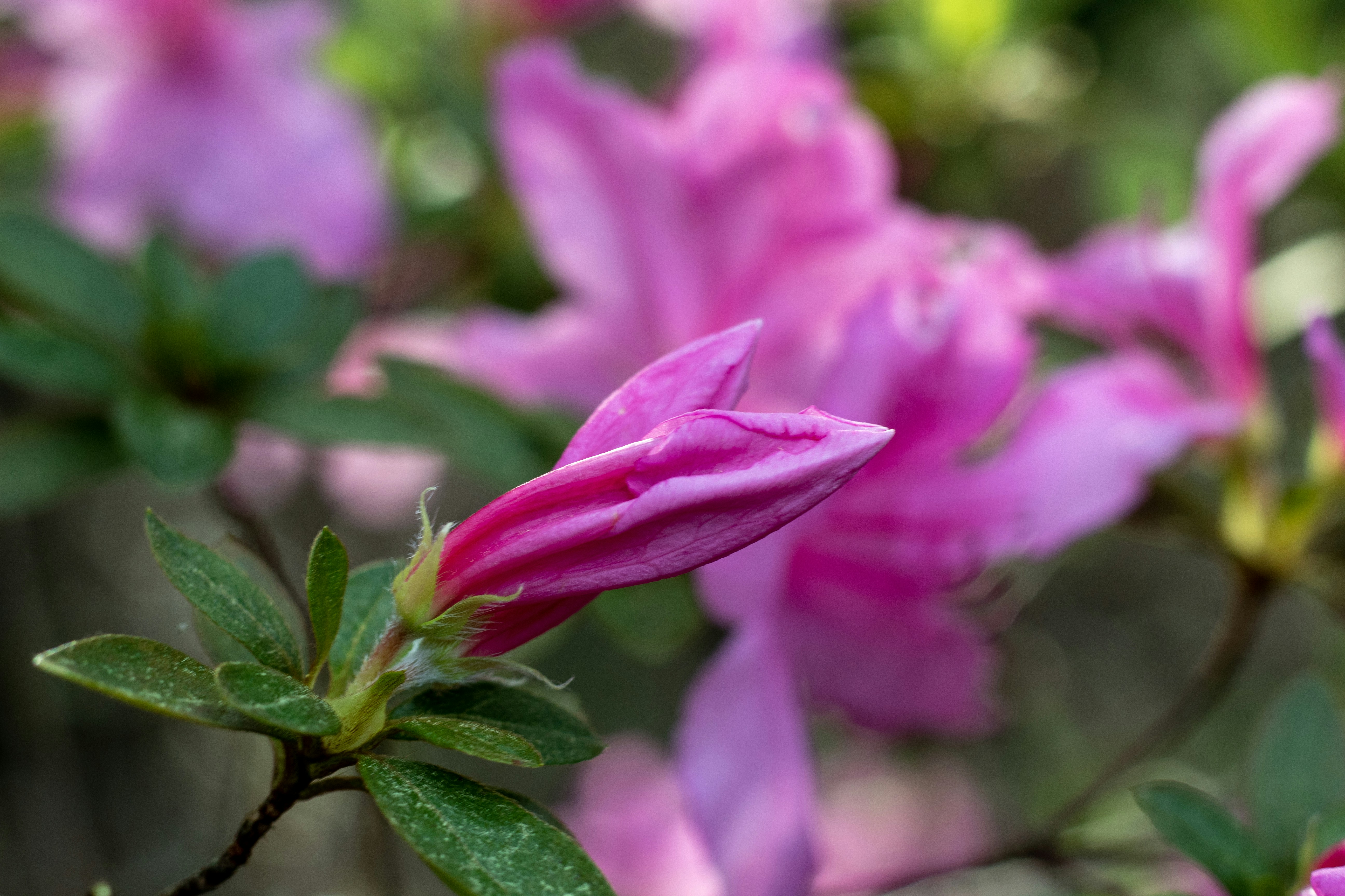 Photo by amgraphic_design