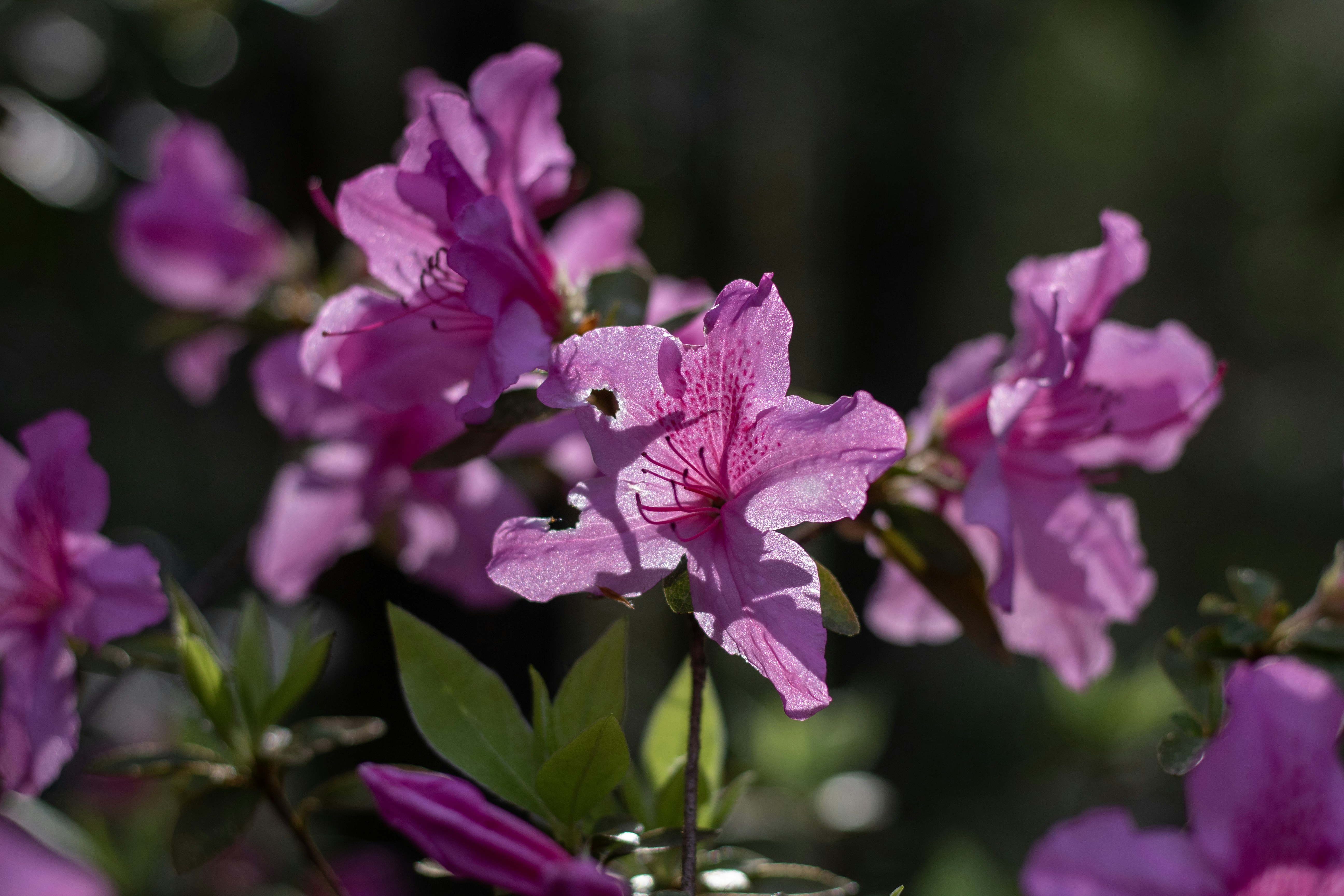 Photo by amgraphic_design