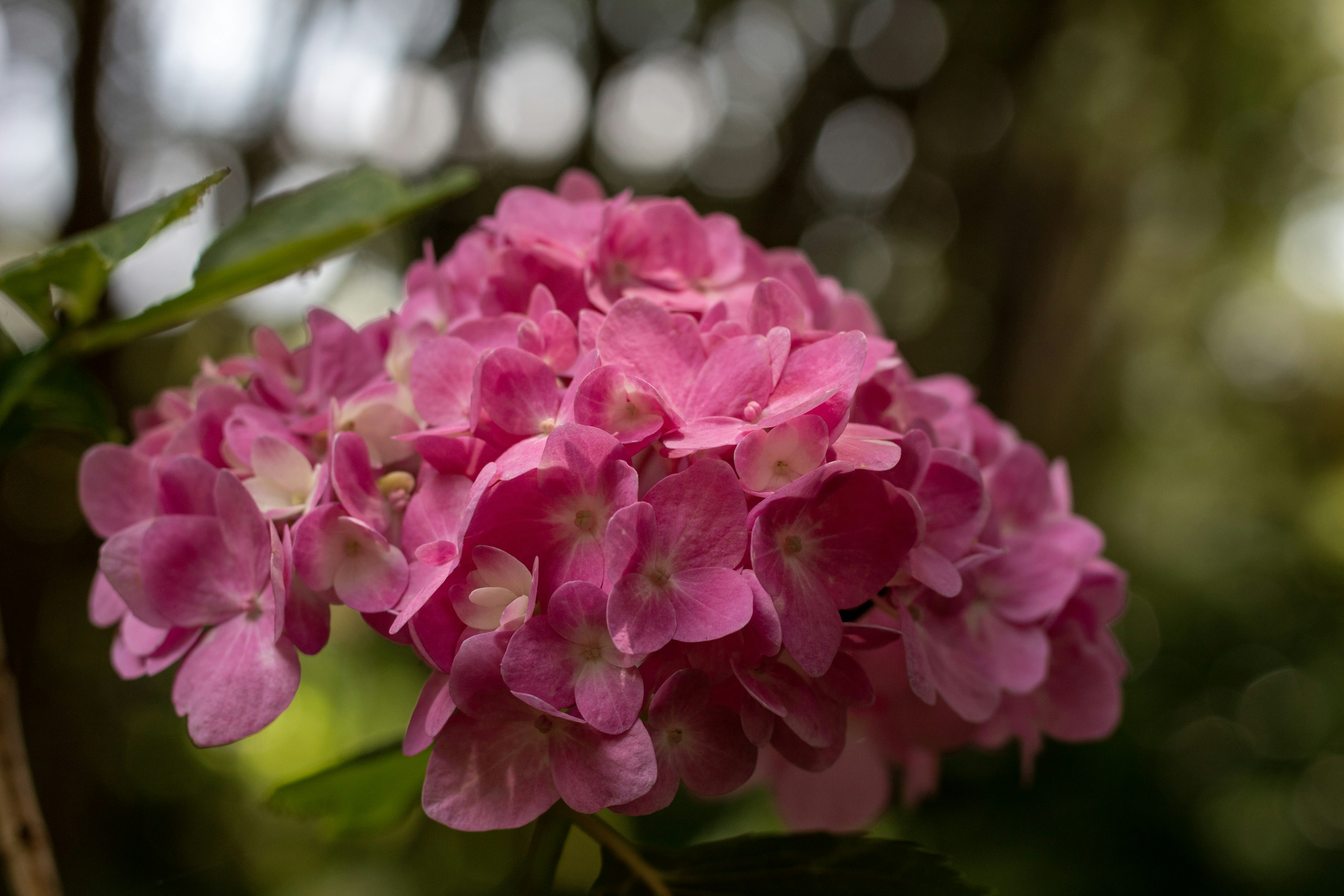 Photo by amgraphic_design