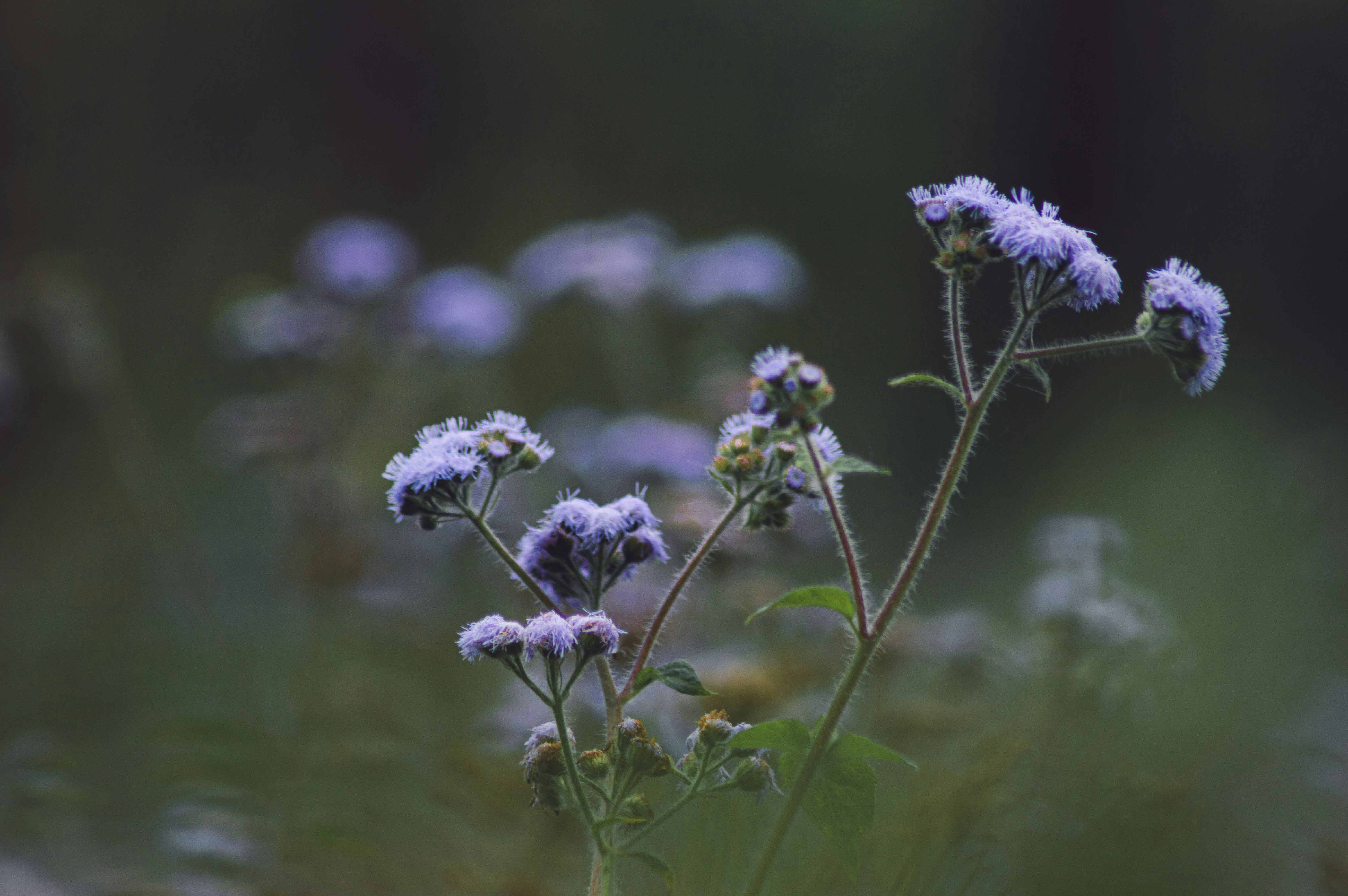 Photo by muhammadriz__