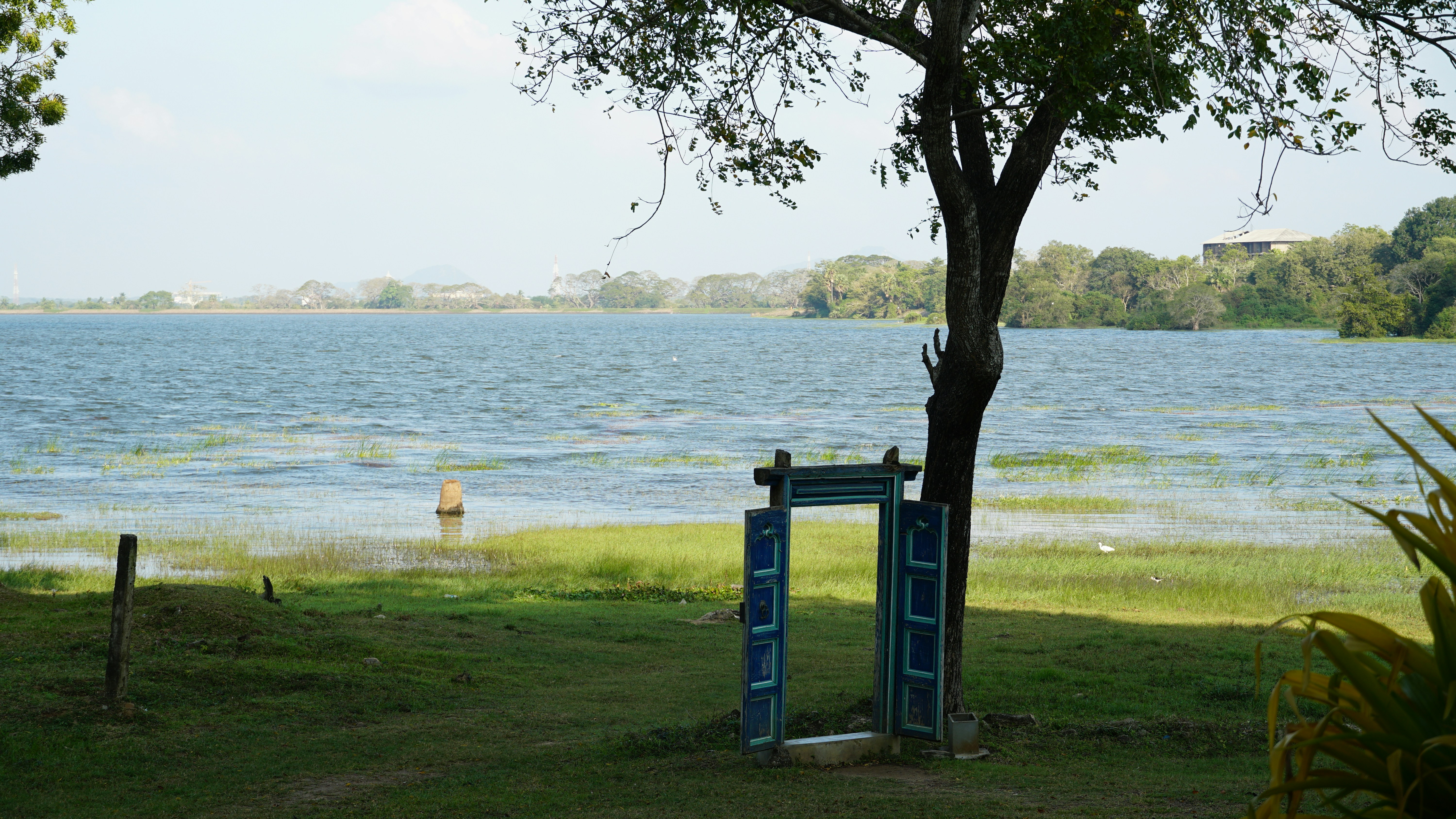 a couple of blue doors sitting next to a tree