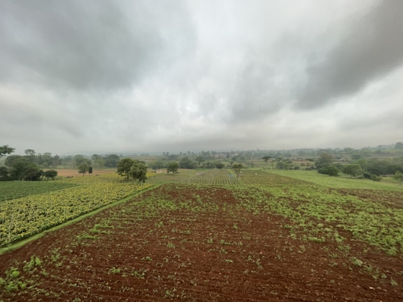 A wide shot of cultivated land stretching towards a horizon with gentle hills