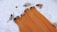 Four bundles of straight, orange hair extensions lying on a white, fluffy surface. Surrounding the hair are natural elements including pine cones, twigs, and a woven decorative ball, creating an organic, rustic atmosphere.