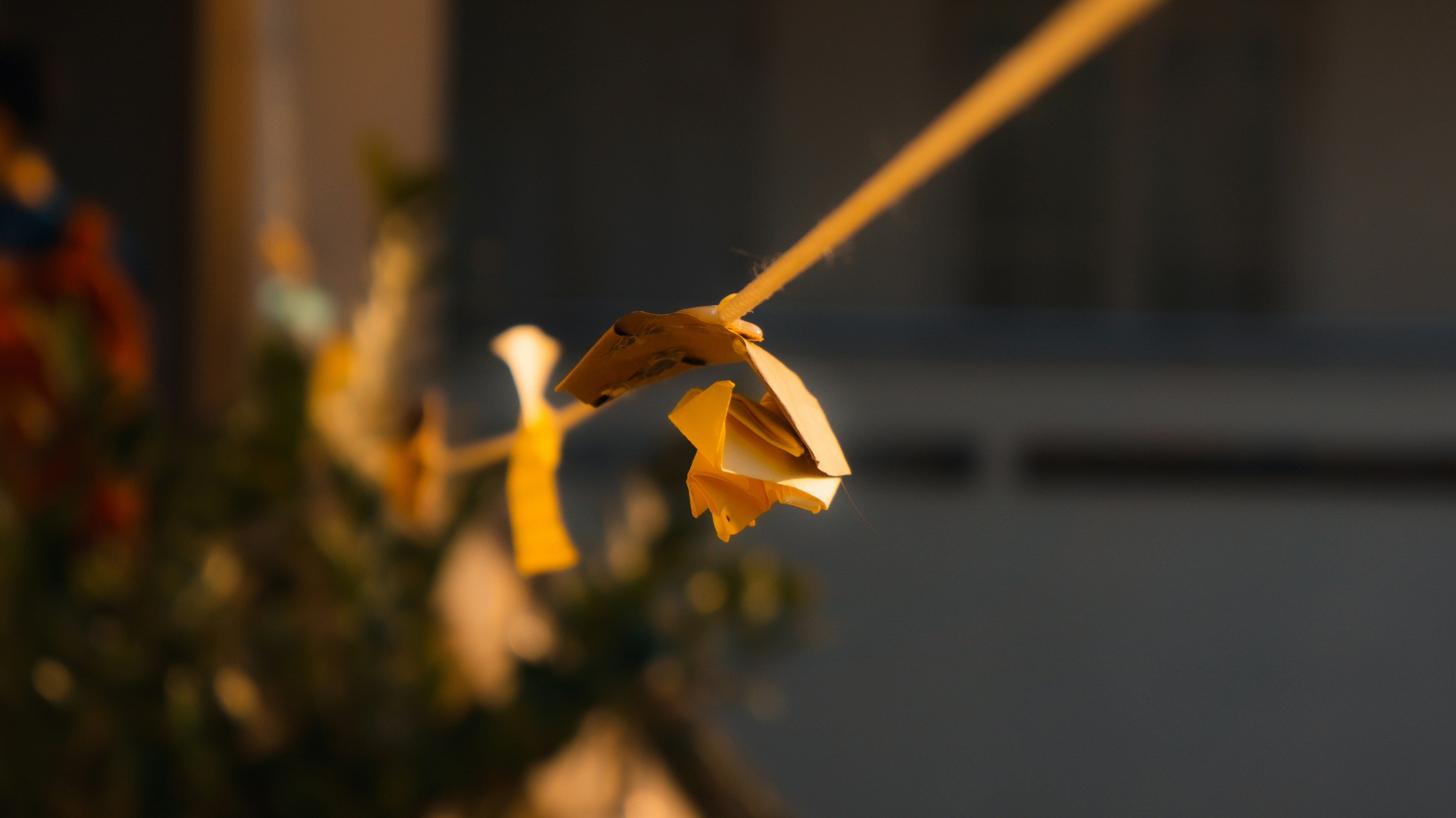 Photo by dying_apricity