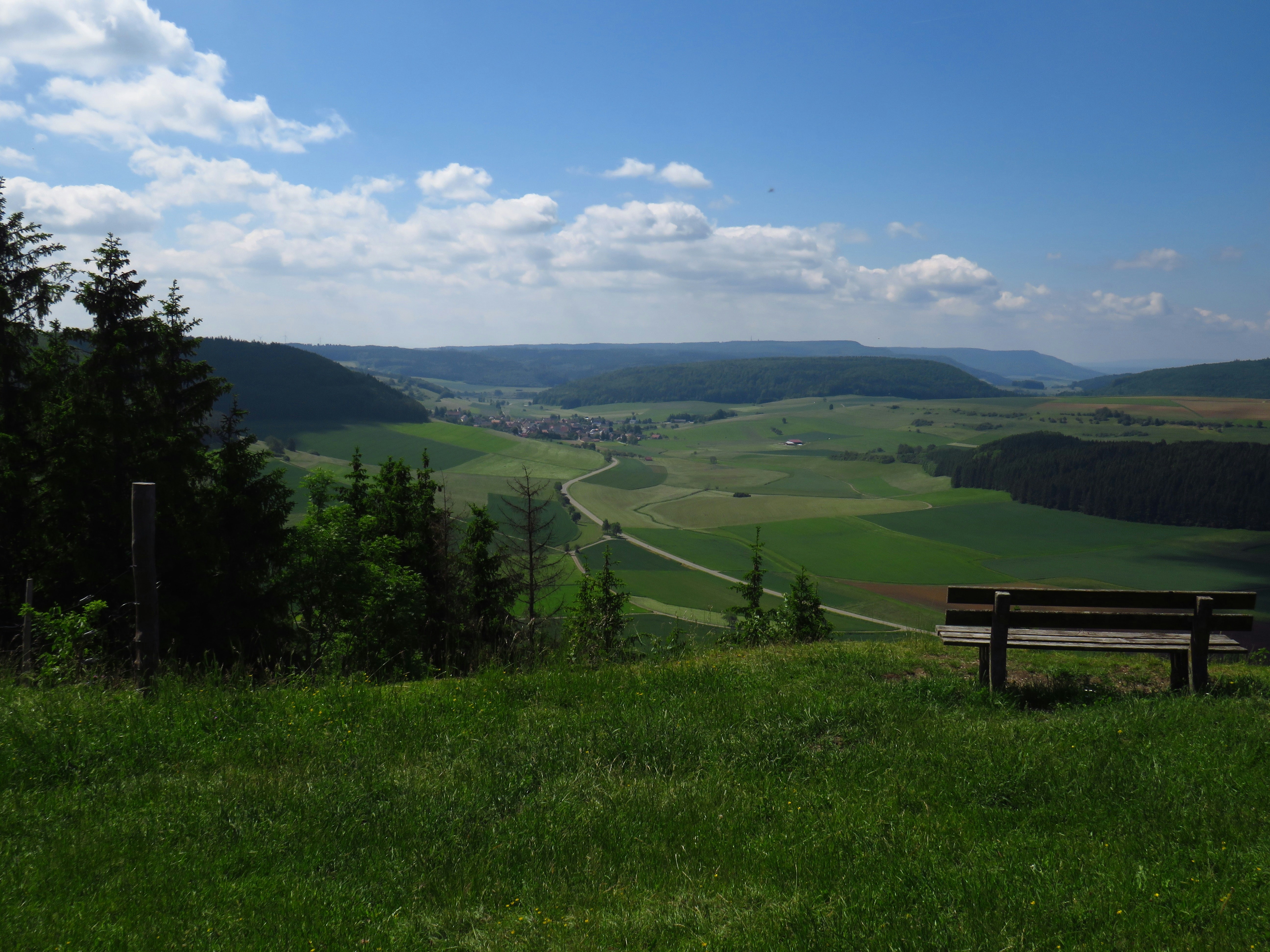 Photo by dieter67