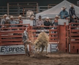 A rodeo rider mid-air during a thrilling bull ride, dust swirling around.