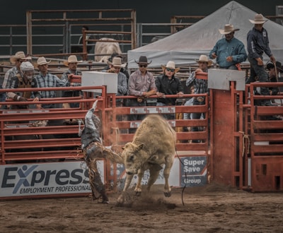 A rodeo rider mid-air during a thrilling bull ride, dust swirling around.