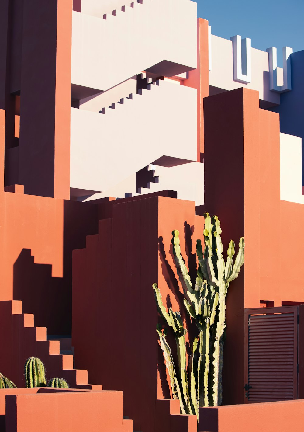 a cactus in front of a building made of blocks
